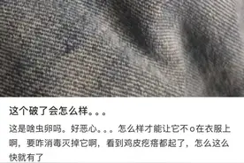 福建人注意！已大量出现！千万别碰！图片
