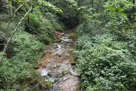 张家界森林公园游览攻略（上）图片
