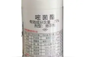 被妖魔化的嘧菌酯，并没那么易出药害，相反却是治真菌病害的好药图片