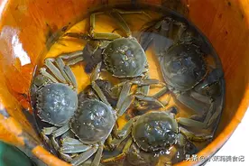 保存螃蟹时，万不可直接放冰箱，养殖户教3招，放7天也鲜活肥美图片
