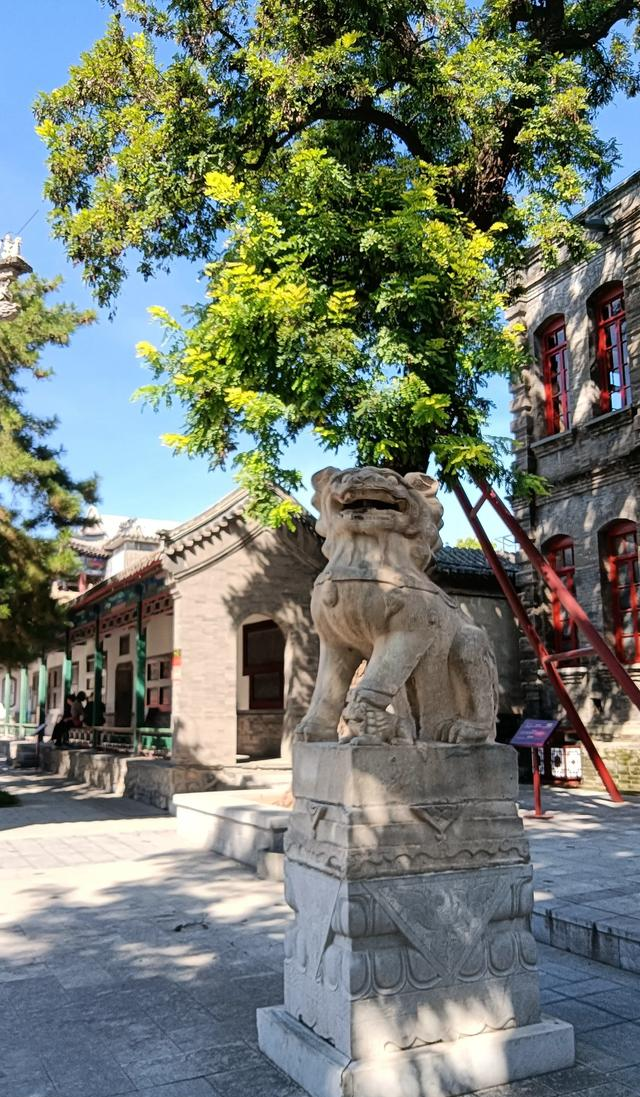 北京没想到，天津也没想到，如今河北保定	，成了周边遛弯的好去处