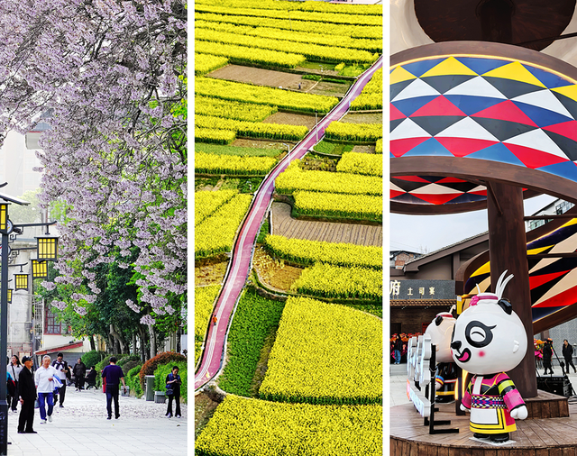 青睐绵阳 || 这个春天，来平武赴一场Color Walk