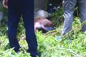 受欺打工仔怒杀大恶人，2002年河津市“12·15”凶杀案侦破始末图片