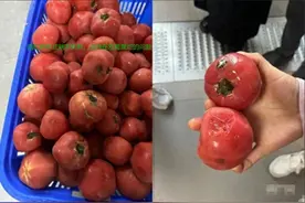 闹大了！小学食堂12元吃一顿，食材发霉导致肚子痛！网友怒喷学校图片