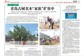 农家过冬不再依靠“热炕头”！青岛取暖方式变革开启乡村新生活图片