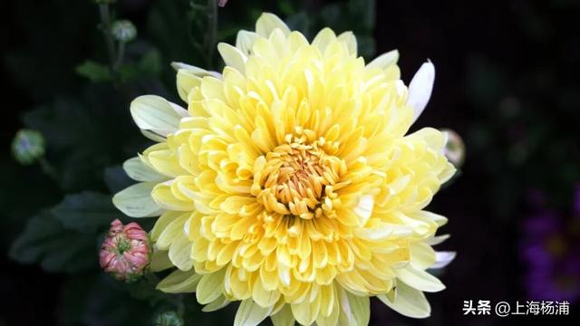 闭幕倒计时！错过就要等明年！