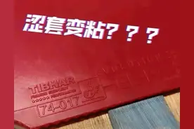 乒乓球反胶胶皮大揭秘：粘性vs涩性，哪个更适合你？图片