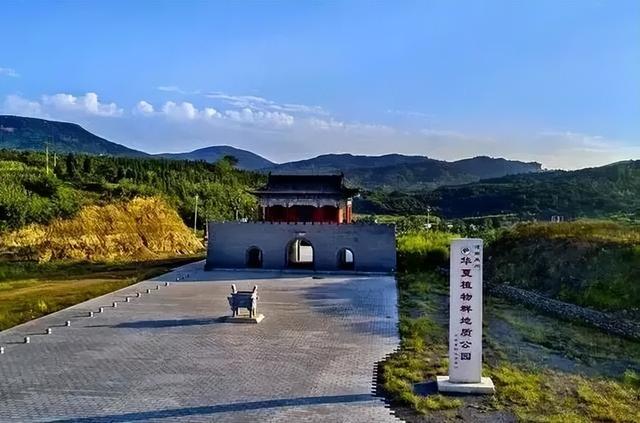 热度不减，精彩不停！禹州特色活动承包你的元宵节！