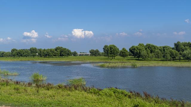 辽宁沈阳：一处“滩地、岸边、水面”三位一体的湿地景观