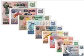 新加坡鸟版纸币详细介绍图片