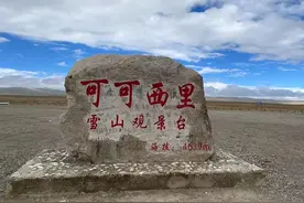 “人类禁区”可可西里，成为毒蛇天堂！零下30度毒蛇如何生存？图片