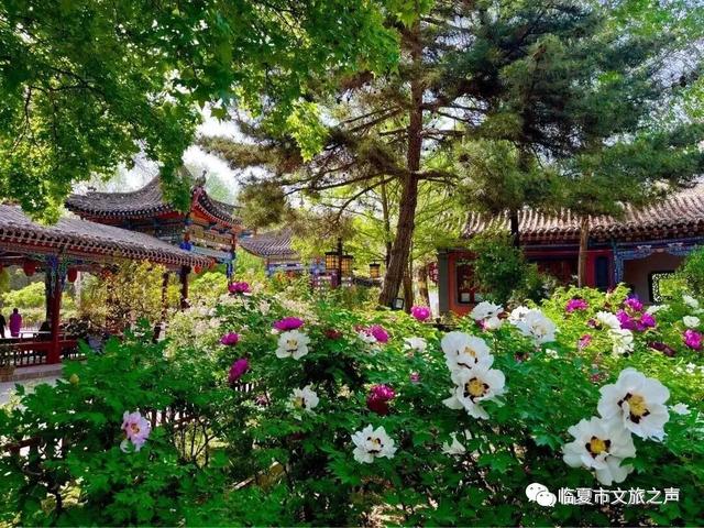 如意甘肃·畅游五一 | 寻迹陇原古韵，解锁快乐假期