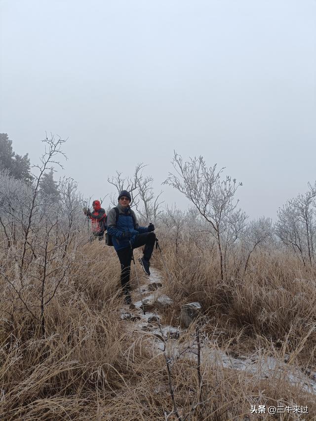 无为在歧路，何处寻雾凇