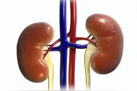 手活过多、肾精亏虚？这五味药煮水，补肾固精，延时助举！图片