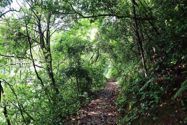 浙江宁波的山海风景线，山岙里藏着多个古村和网红景点，值得游玩