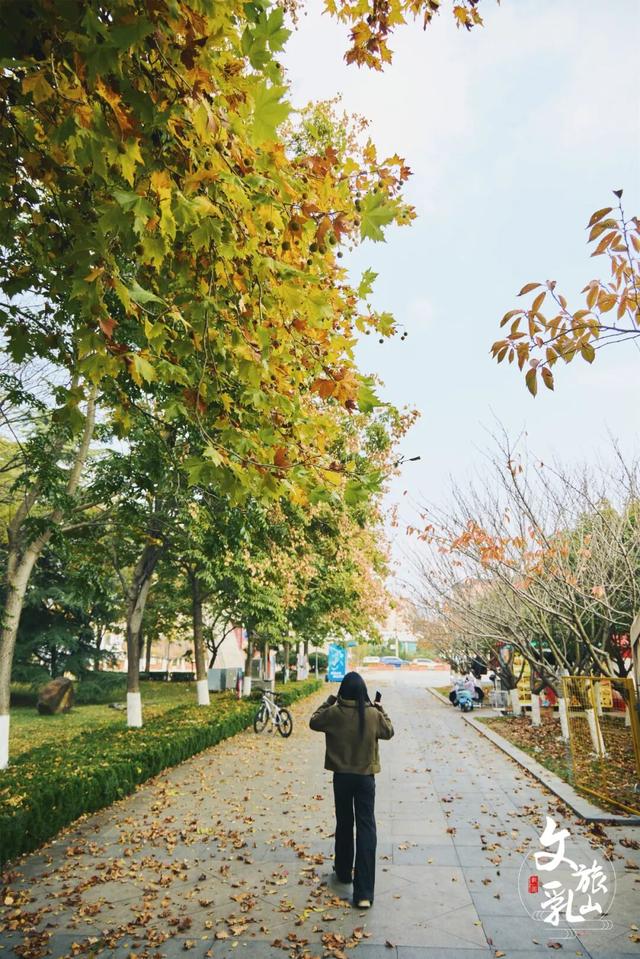 当秋风吻过乳山：一场关于色彩与治愈的漫步指南