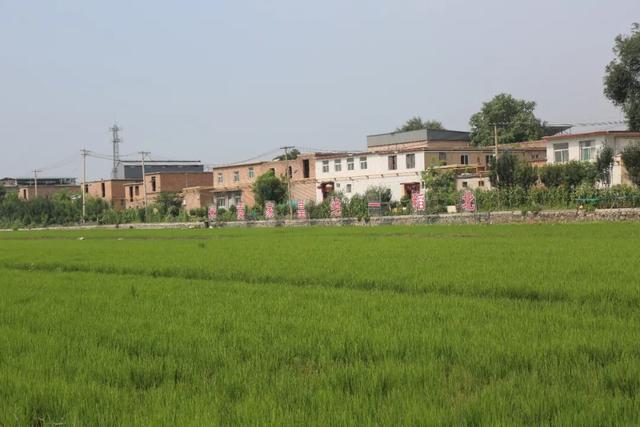 【文明旅游】太原：难老泉润稻荷香