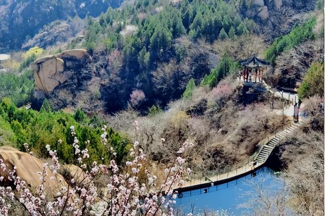 上春山！海淀这座山又到了最美的时候