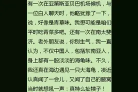外国人困惑：中国人身上为什么没有异味？各国网友争先抢答图片