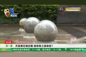 挺大一片区域，为什么放石墩子？图片