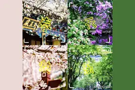 辽宁这些“花海”，地铁可以直达图片