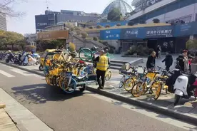 春节西湖迎来游客高峰，美团单车全力保障市民顺利出行图片