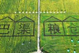 “花”经济 “热”文旅 ！渠县油菜花田吃火锅 品尝春之味图片