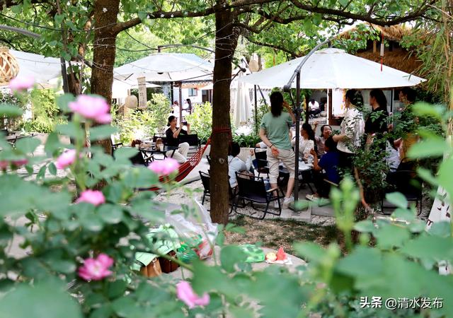 【醉美金秋 “乡”约清水】“双节”出玩指南 | 清水生态康养休闲之旅攻略来啦！