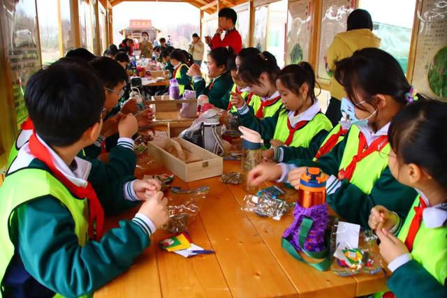 肥城市潮泉镇：泰山四大名药研学劳动教育实践基地绽放文化新彩