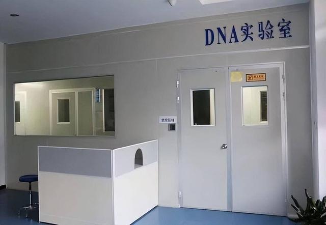 杀不死的萨达姆：隐藏19年的秘密浮出水面，6个替身做到以假乱真