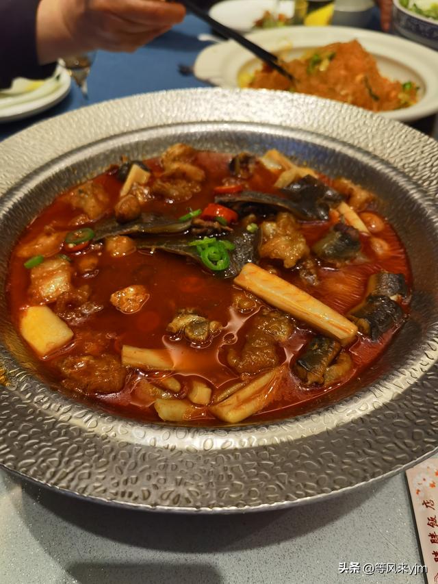 突然发现，上海周边这两个小城，就是个黄金旅游地，妥妥的后花园