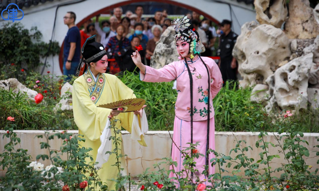 【津云镜头】人民公园“千橘澄院”开放，闲置空间变身江南园林