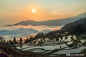 奋进强国路 阔步新征程丨守望千年农耕文明——哈尼梯田图片