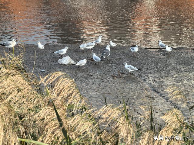 2025辽宁赏秋之旅日记(5)——从本溪前往盘锦 游览红海滩景观