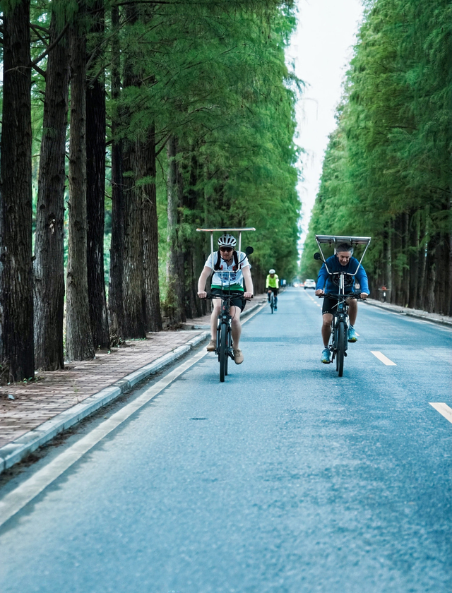 绿色骑行续写中法友谊新篇章——中法友好“太阳之旅”2025韶关骑行活动圆满收官
