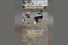 捡不完，根本捡不完，"格美"过后深圳鲘门半岛海滩出现大量海鲜图片