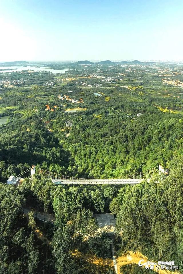 别宅在家啦！蔡甸这两座爬山圣地，吹散 “班味儿” 超治愈～