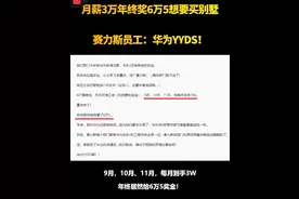 赛力斯：学华为我真有一套，不信的话看好了我只示范一次！图片