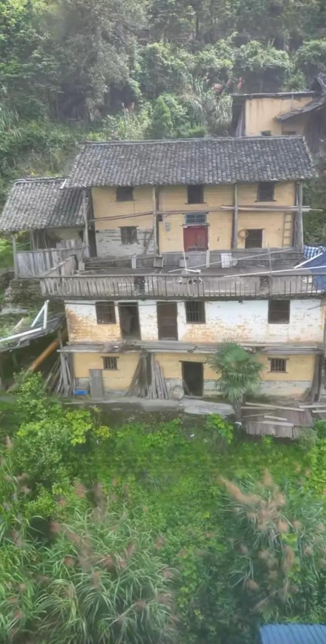 探访韶关深山老林目前无人居住的小村庄,周围杂草丛生,一片荒芜