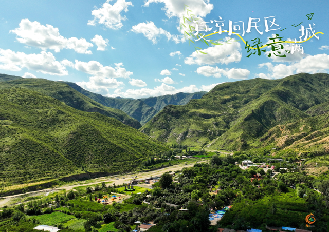 高清大图！回民区的夏天，是“植”得N刷的绿！