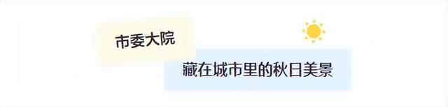 临沂免费赏秋好去处，错过你将后悔一整年！