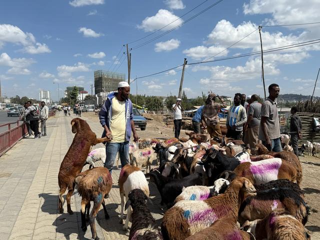 【联合国特别大师】人类祖先露西与世界选美