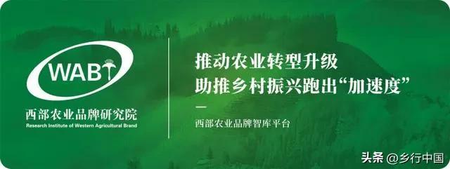 大别山革命老区河南信阳：“北国江南”鄂豫皖枢纽的绿色崛起之路