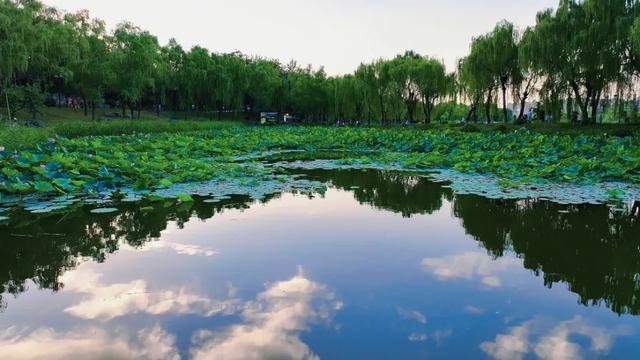 免费!西安地铁直达的6大绝美湖泊