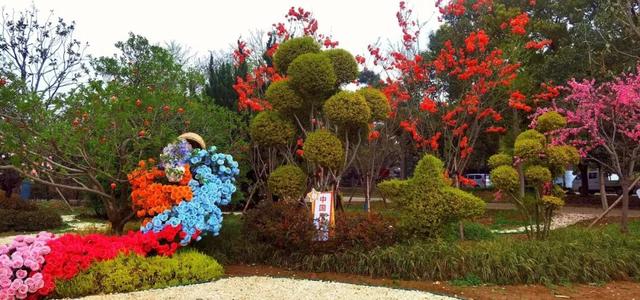 一园月季韵，满城春日情｜中国月季园月季文化系列活动重磅登场