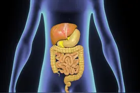 中医初学解惑——脾的主要功能及脾主运化图片
