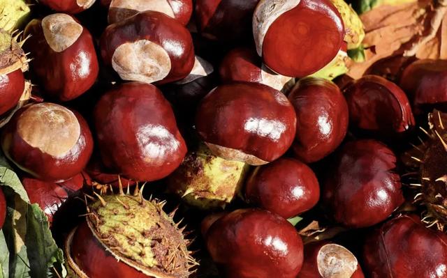 上火可以喝花胶鸡脚汤吗 2026年上火可以喝花胶鸡脚汤吗小孩