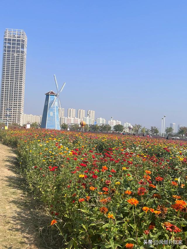 南昌马兰圩公园，七彩花海拍照太美了！