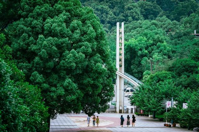 周末隐逸计划丨探秘南岸清幽街镇，独享山水间的诗意慢生活