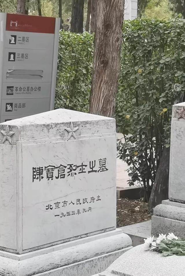 被遗忘的英烈：陈宝仓墓前为何鲜花寥落？
